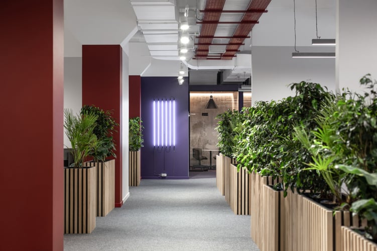 Interior design office _ february color of the month 2024