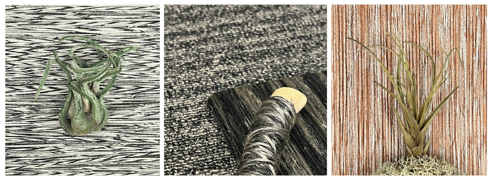 Thrive matter by Universal Fibers _ JP