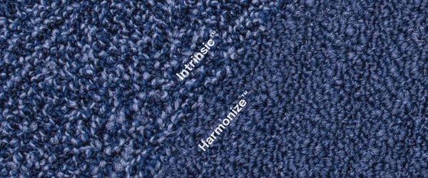 Universal Fibers Harmonize and Intrinsic finishes