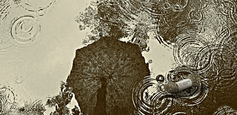 raw silk header